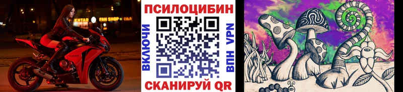 где купить наркотик  Можга  Псилоцибиновые грибы Magic Shrooms 