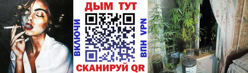 darknet наркотические препараты Можга Бошки марихуана конопля